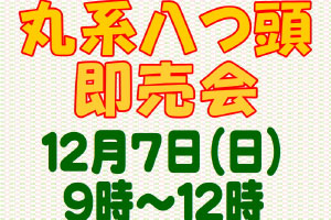 丸系八つ頭即売会