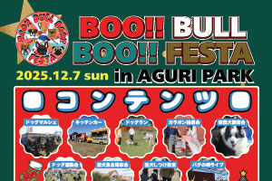 BOO! BULL BOO!! FESTA