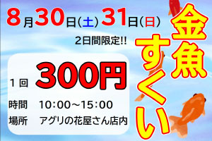 チョコレート販売