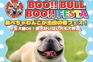 ドッグランイベント