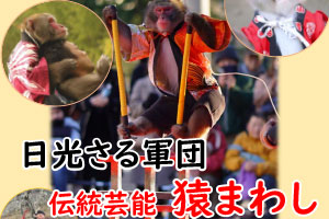 日光さる軍団　伝統芸能　猿まわし