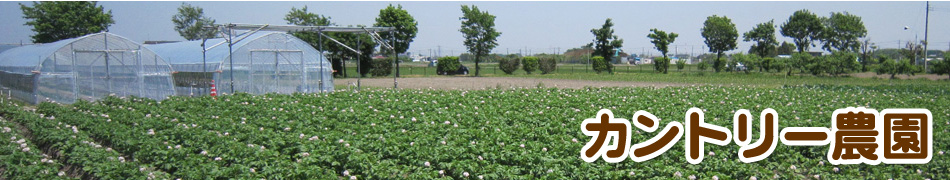 野菜の収穫体験ができるカントリー農園