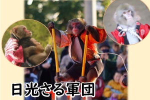 日光さる軍団 伝統芸能 猿まわし特別公演